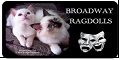 Logo for Broadway Ragdolls Cattery