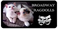Logo for Broadway Ragdolls Cattery